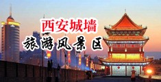 偷拍器具自慰中国陕西-西安城墙旅游风景区